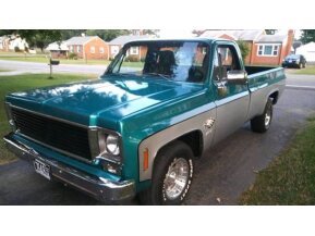1978 Chevrolet C/K Truck for sale 101586241